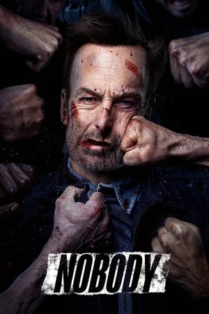 Nobody (2021) Hindi (Cleaned) Dual Audio 320MB - Movierulz